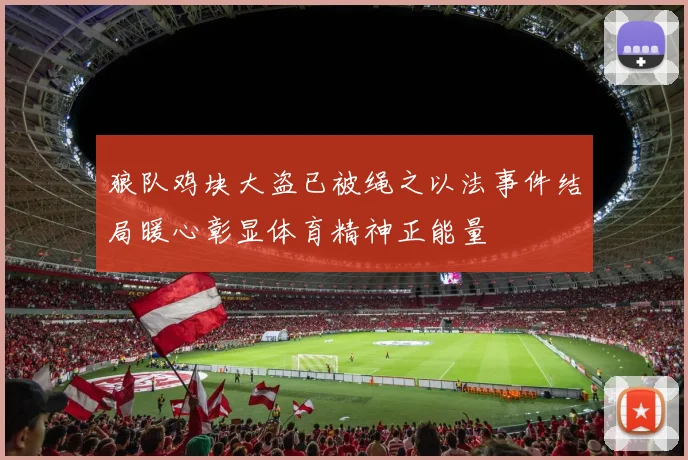 狼队鸡块大盗已被绳之以法事件结局暖心彰显体育精神正能量